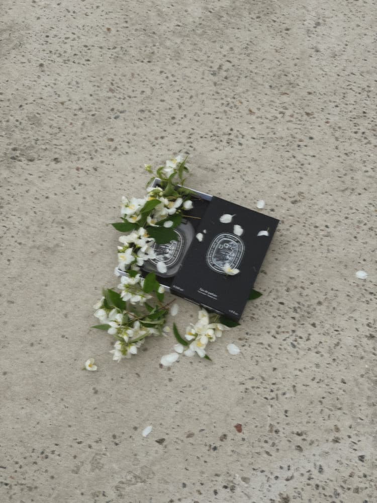Do Son, Diptyque